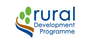 the RDP logo